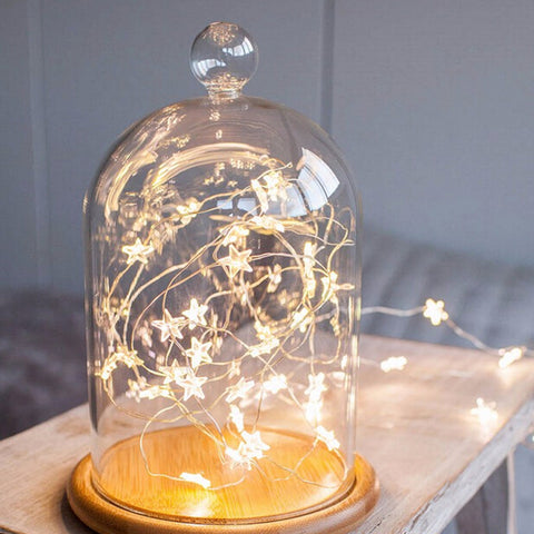Mini Star Fairy String Lights