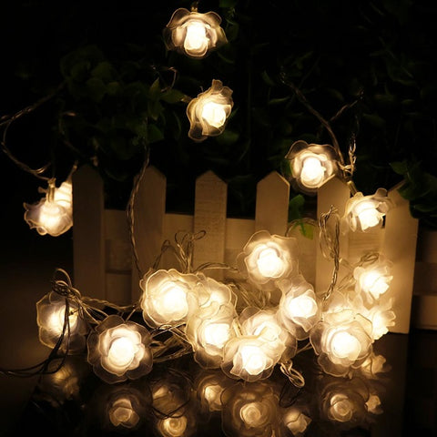 Love Rose Fairy String Lights
